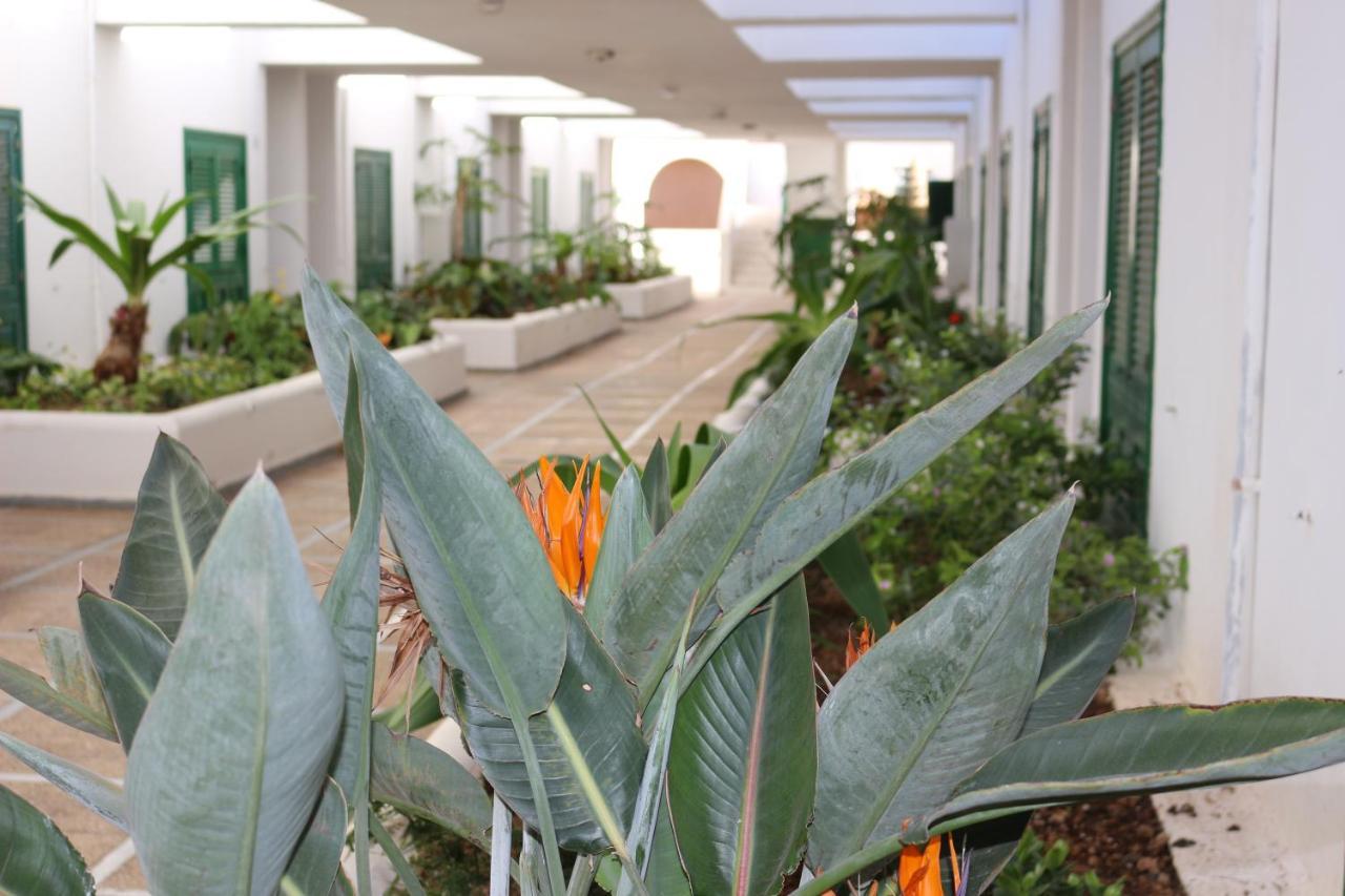 Bungalow Balancon Duplex El Médano المظهر الخارجي الصورة